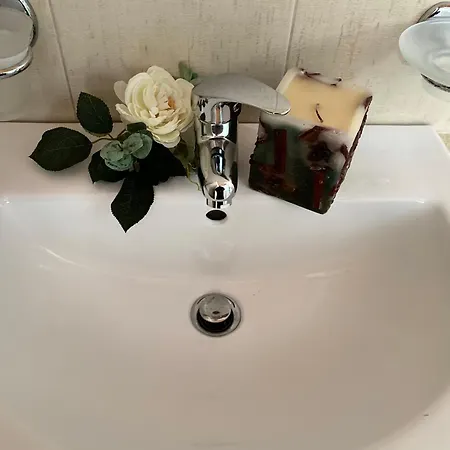 Foresteva 里科索翁